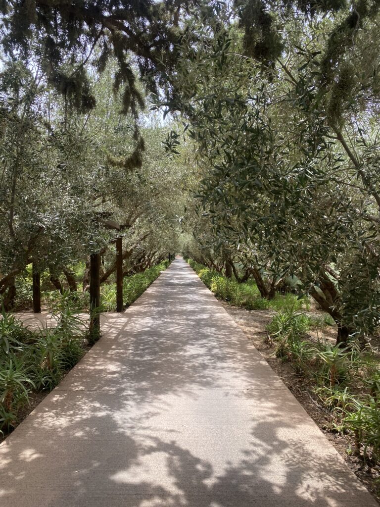 Luxury Travel Event - Oberoi Marrakech