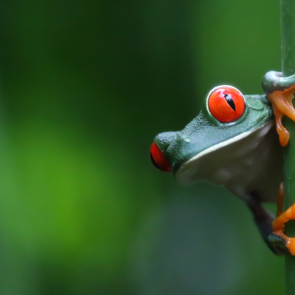 Luxury Travel Event - Costa Rica