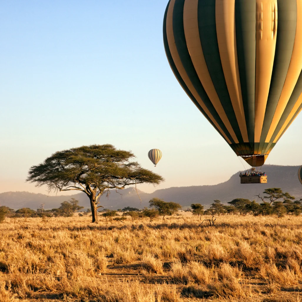 Voyage d'entreprise